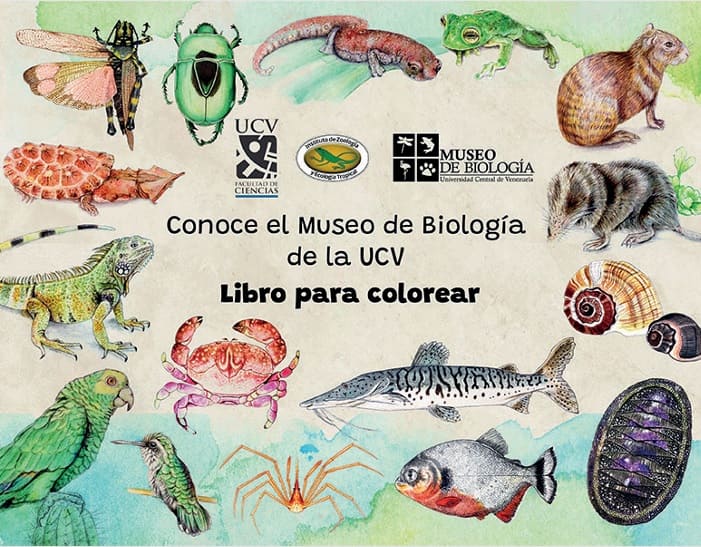 Museo de Bio